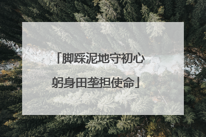脚踩泥地守初心 躬身田垄担使命